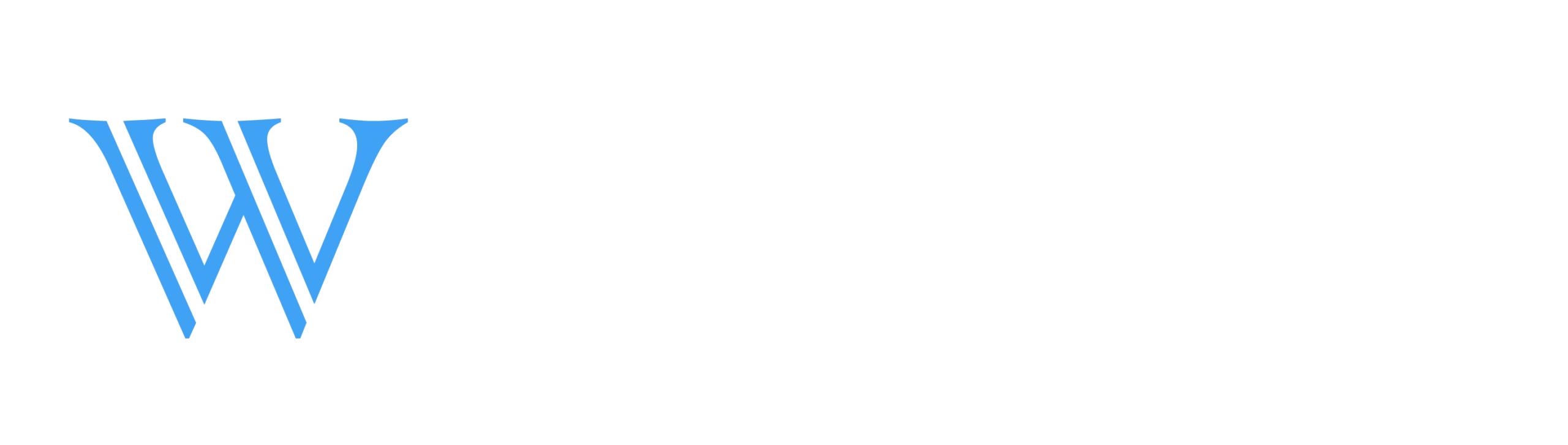 Wadud Digital Marketing Agency Logo scaled